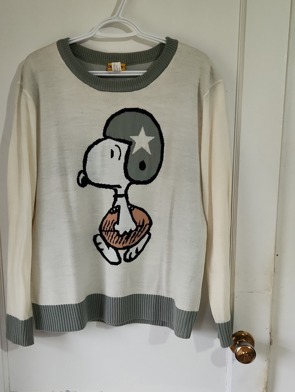 Snoopy Sweater